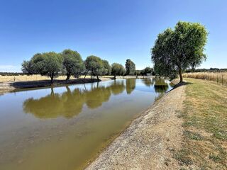  Terrain à vendre 16000 m²