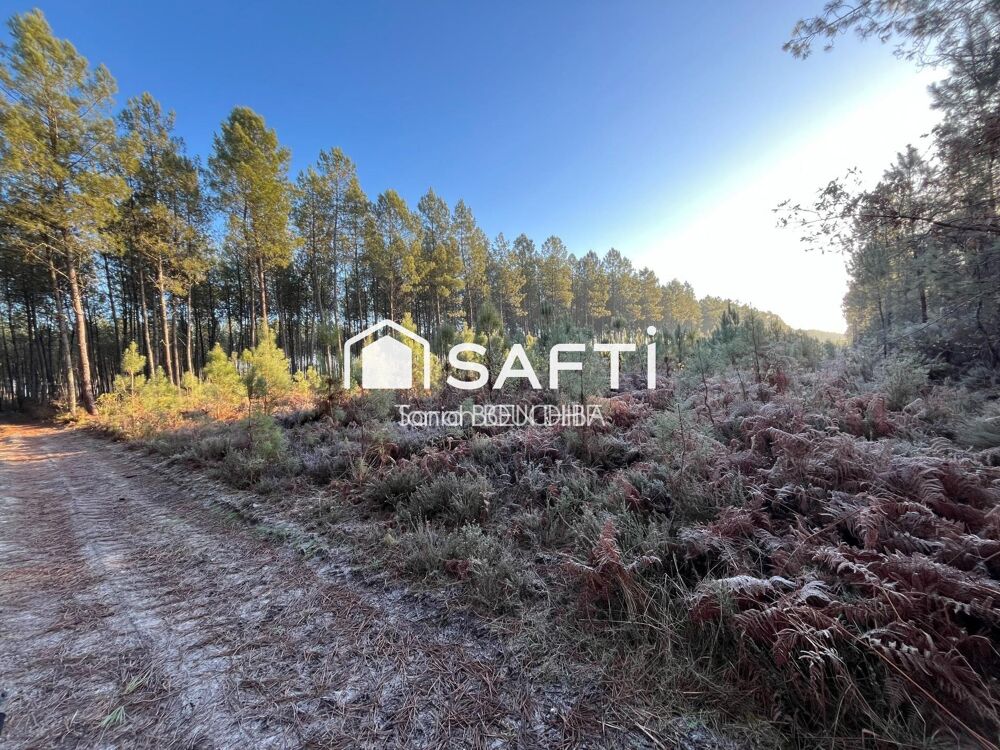 Vente Terrain Terrain forestier Saint-leger-de-balson