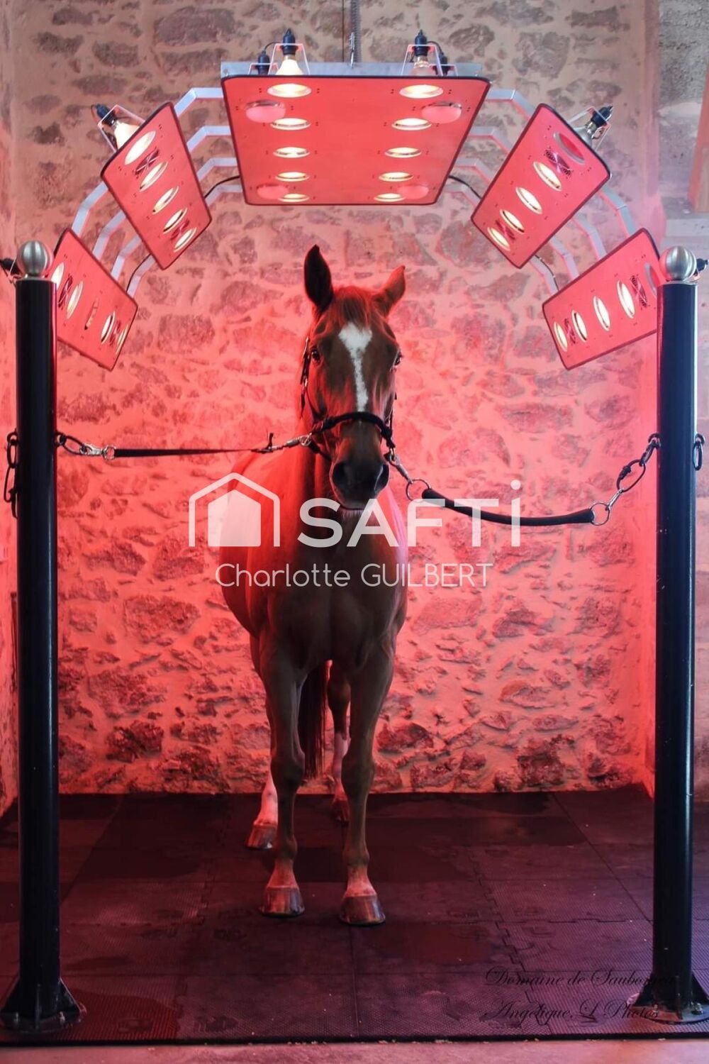  vendre  Maison Saint-Vincent-de-Lamontjoie (47310)