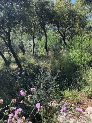  Terrain � vendre 946 m�