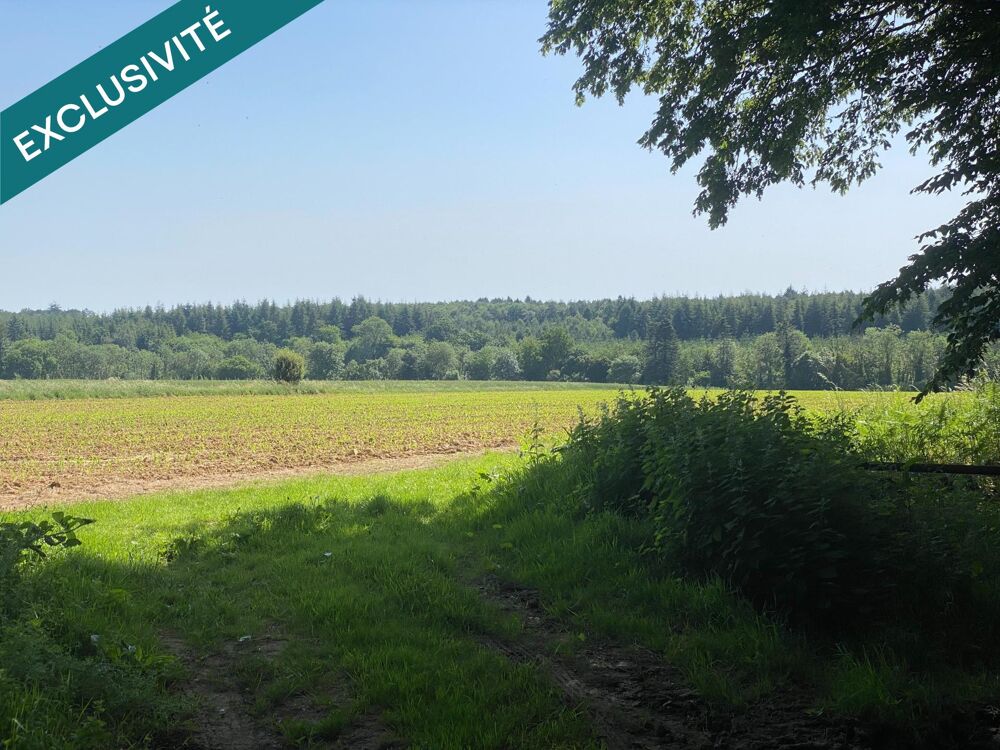 Vente Terrain Terrain à bâtir de 1565 m², viabilisé en eau, Meslay Meslay