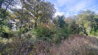  Terrain � vendre 2398 m�