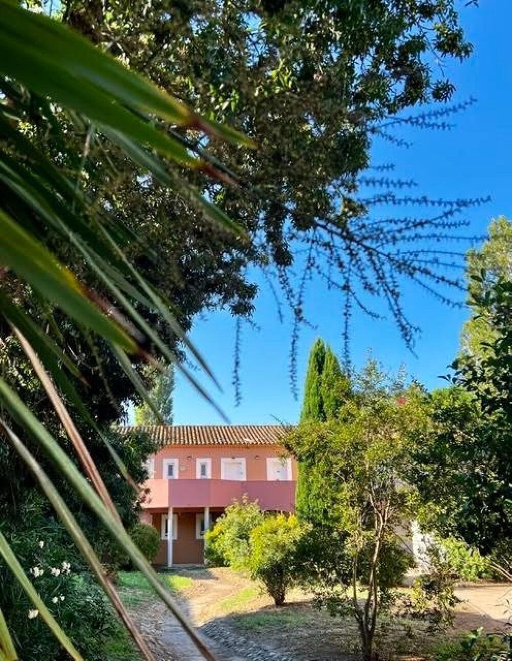 Studio en Camargue, dix minutes du centre de Arles