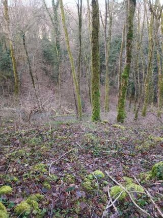  Terrain à vendre 6175 m²
