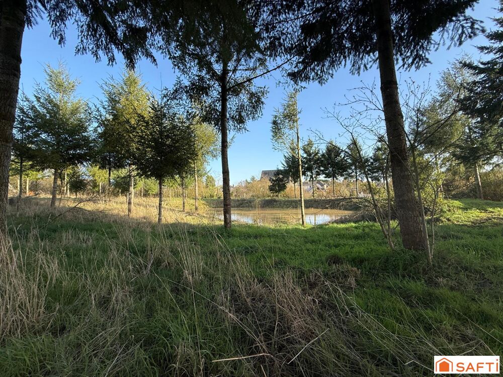 Maison de bourg avec dépendances sur plus de 2 hectares