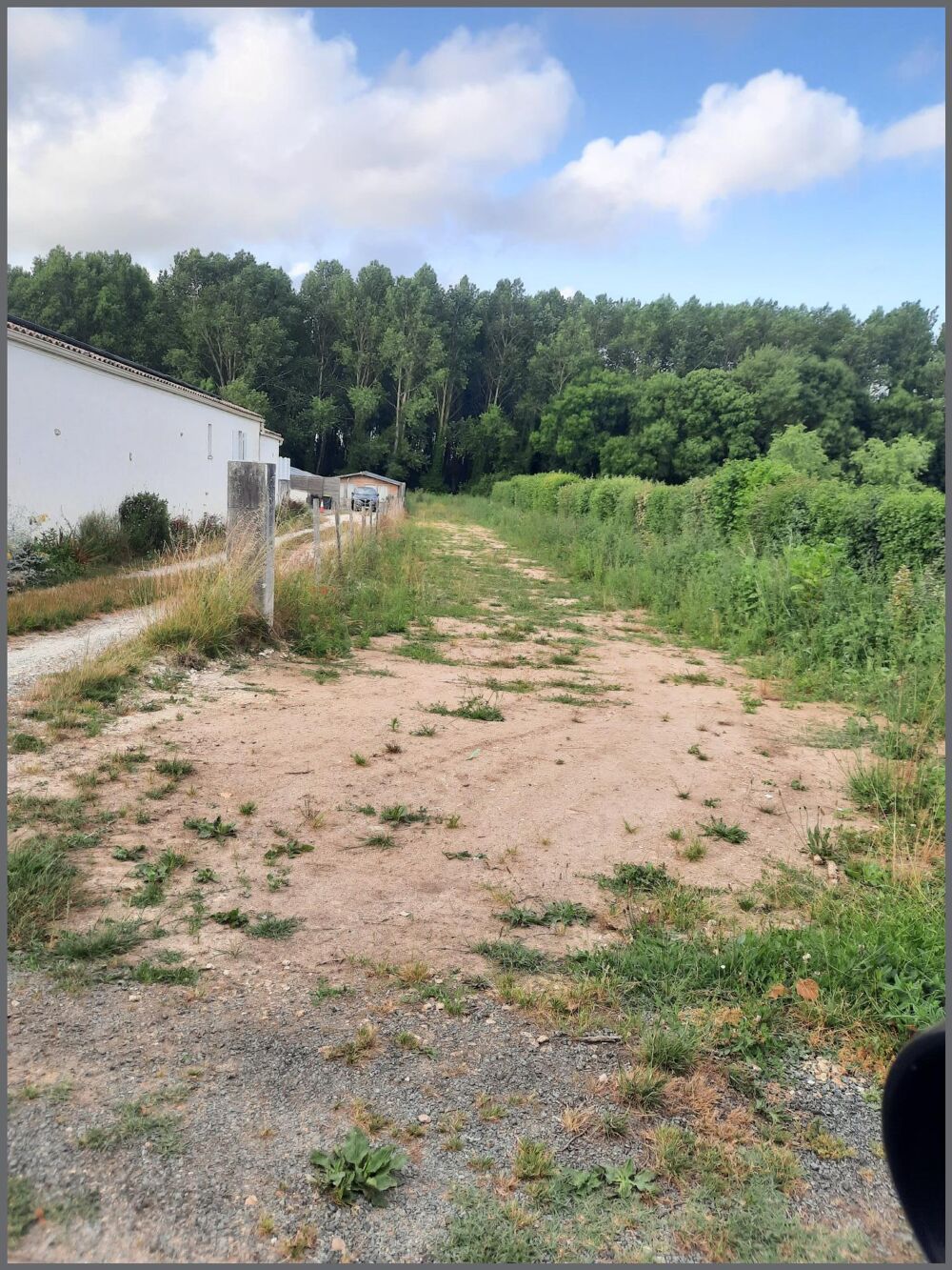 Vente Terrain TERRAIN PLUS DE 1800 M² Saujon