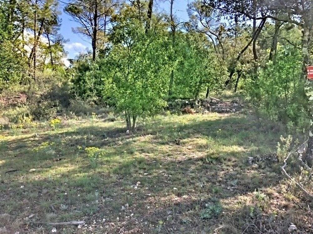 Vente Terrain Terrain de loisirs Seillans