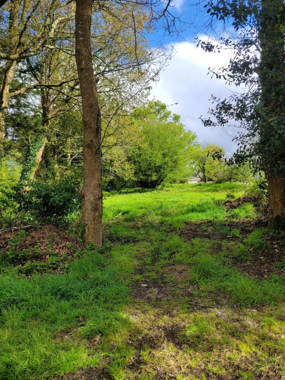 Vente Terrain Proche du Bourg, proche des grands axes Radenac