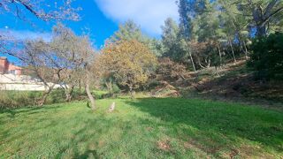  Terrain à vendre 1131 m²