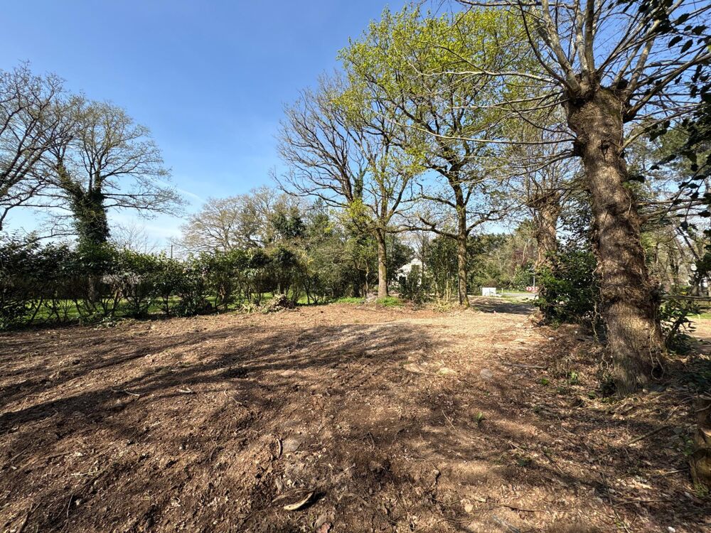 Vente Terrain Terrain de 1230m2 prêt à bâtir avec Tout-à-l'égout Guemene-penfao