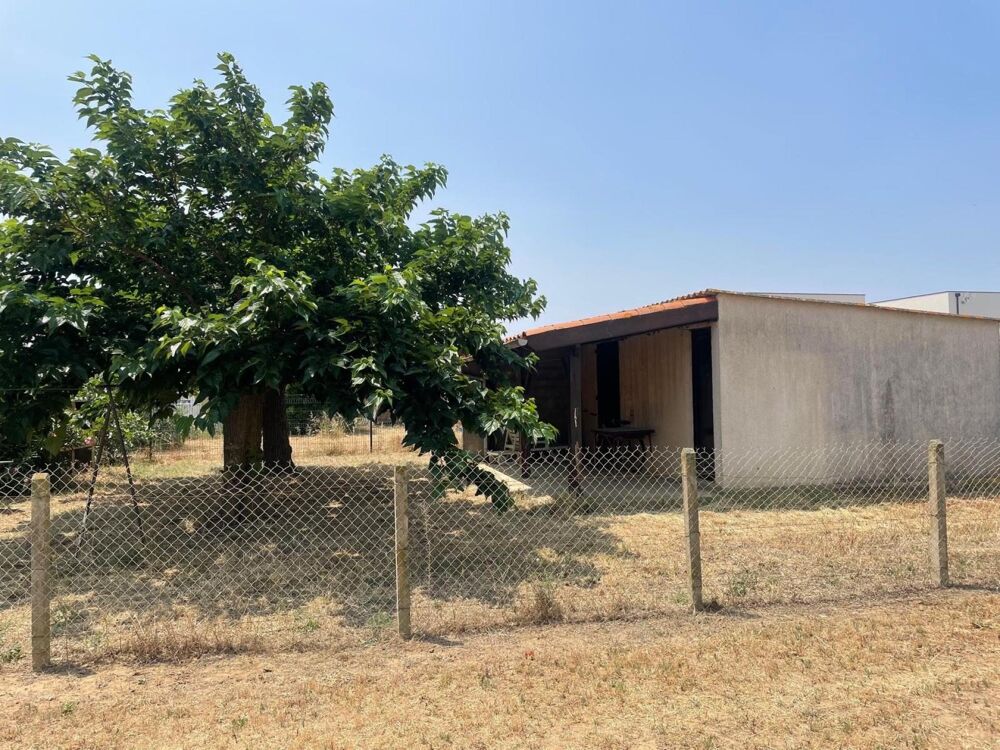 Vente Terrain Terrain constructible de 311m2 à Serignan-Viabilisé-Proche mer Serignan