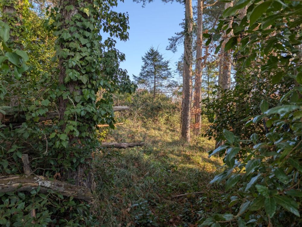 Vente Terrain A SAISIR TERRAIN CONSTRUCTIBLE AU COEUR DE LA VILLE DE PRIVAS Privas