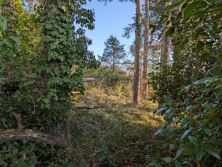  Terrain à vendre 3956 m²