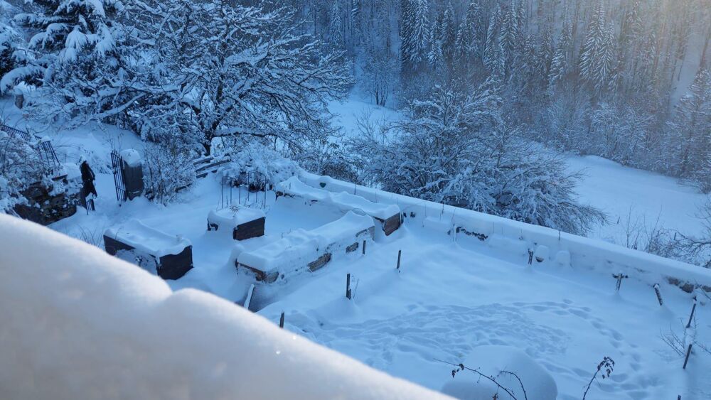 � vendre  Maison Septmoncel (39310)