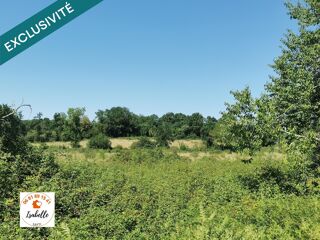  Terrain à vendre 197050 m²