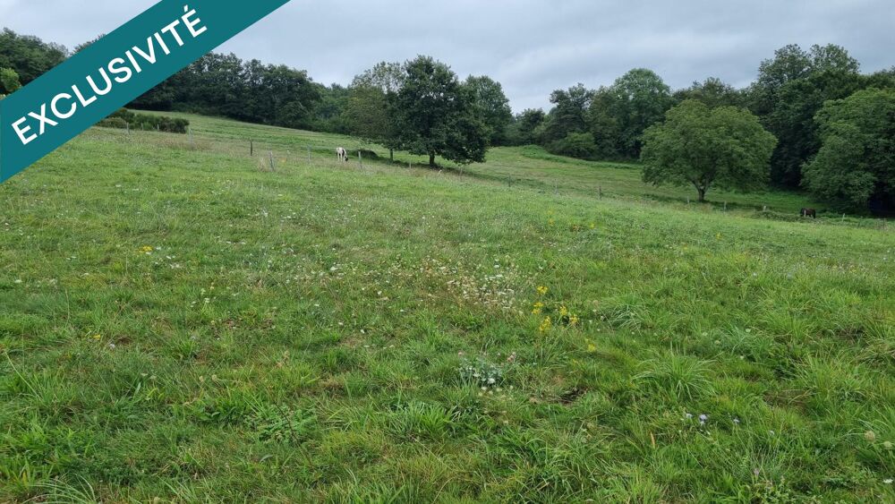 Vente Terrain Terrain a batir de 1568 m² Busset avec vue sur la chaîne des Puys Busset