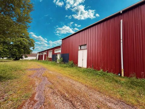 Local professionnel de 1800 m2 sur 1,5 hectares 390000 10400 Nogent-sur-seine