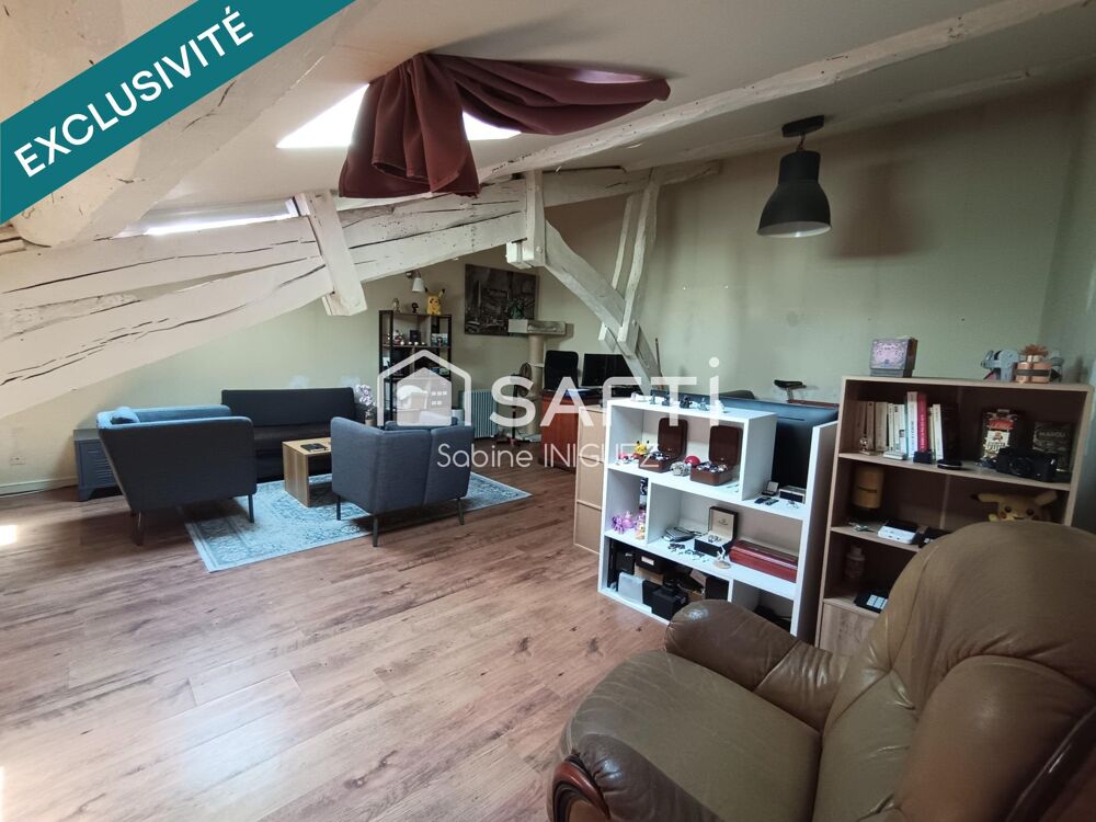 PLEIN CENTRE VILLE, APPARTEMENT ATYPIQUE
