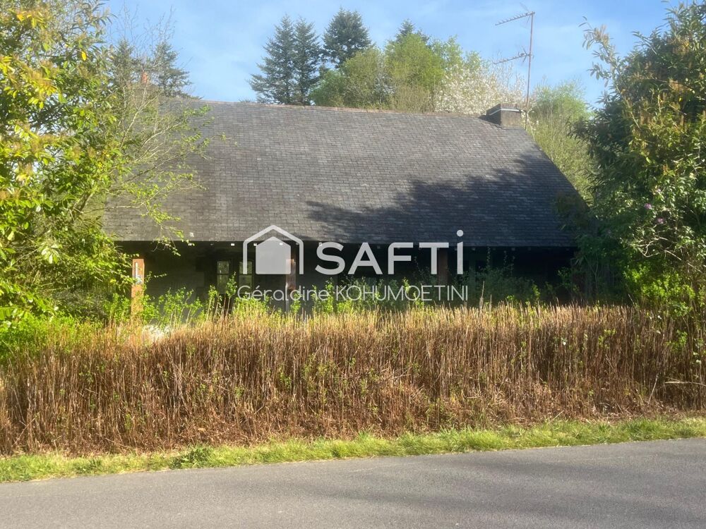 Idéal pour les amoureux de nature et rénovation !