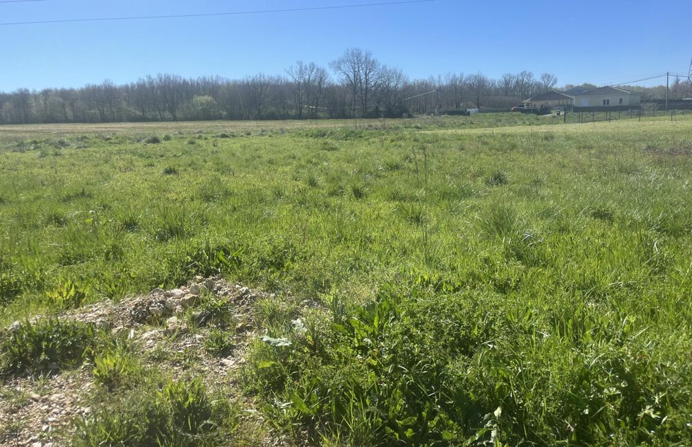 Vente Terrain Terrain à bâtir viabilisé à 100% sur Lacourt st pierre Lacourt-saint-pierre