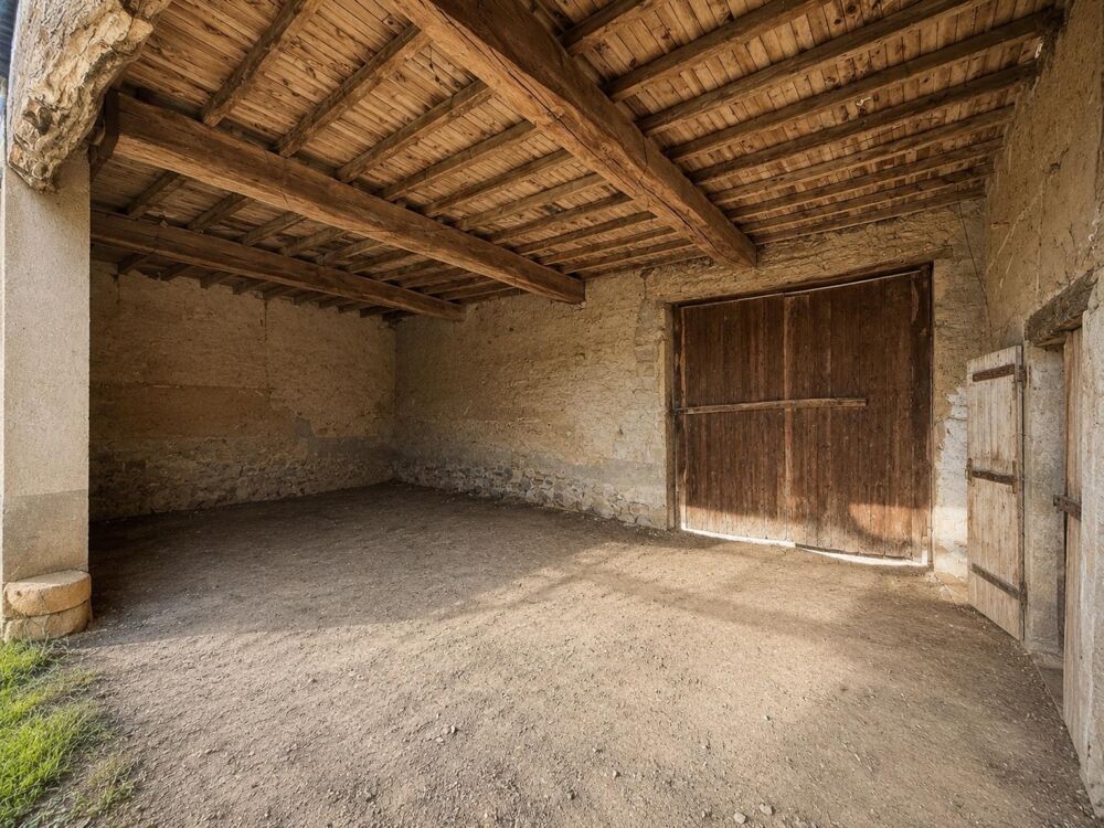 Corps de ferme à fort potentiel  Chaleins (01480)