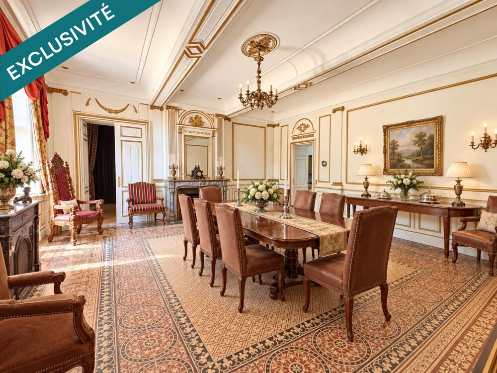 Château de caractère, 30 chambres, 21 pièces deau, piscine et près de 2,45 hectares