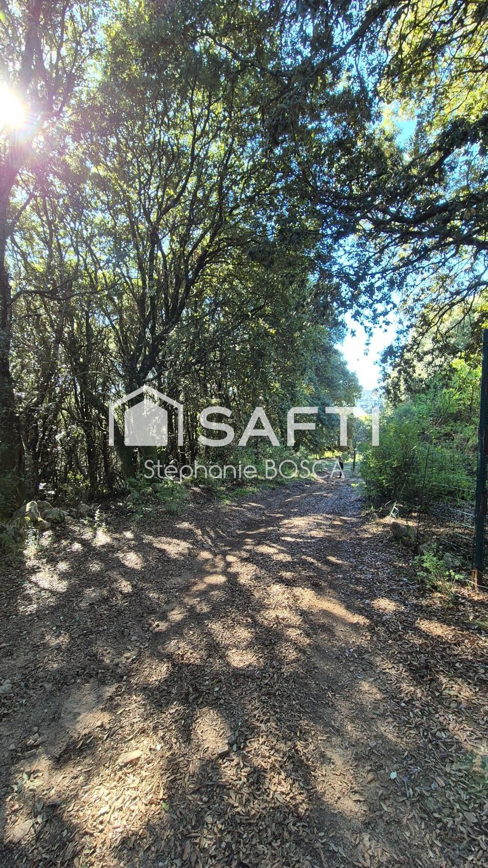 Vente Terrain TERRAIN A BATIR VIABILISE DE 3 800 m2 Albitreccia