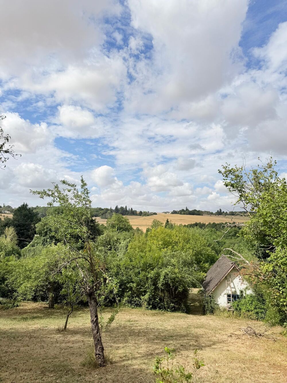 Vente Terrain Magnifique terrain arboré constructible Vernon