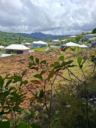  Terrain � vendre 592 m�