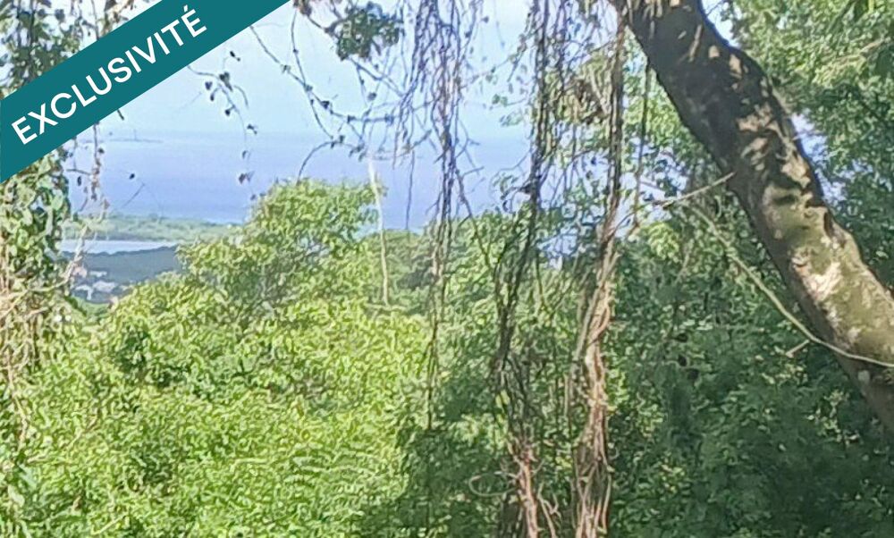 Vente Terrain TERRAIN RARE A VISITER Le diamant