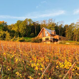  Maison � vendre 15 + pi�ces 295 m�