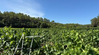  Terrain � vendre 33300 m�