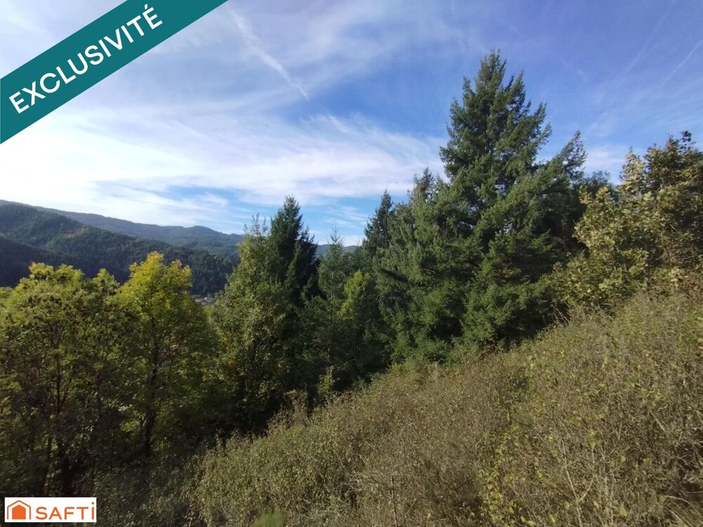 Vente Terrain Terrain avec très belle vue, 8045m² et 1618m² constructibles Saint-martin-de-valamas