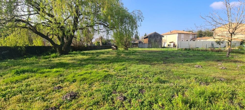 Vente Terrain Joli Terrain constructible Listrac-medoc
