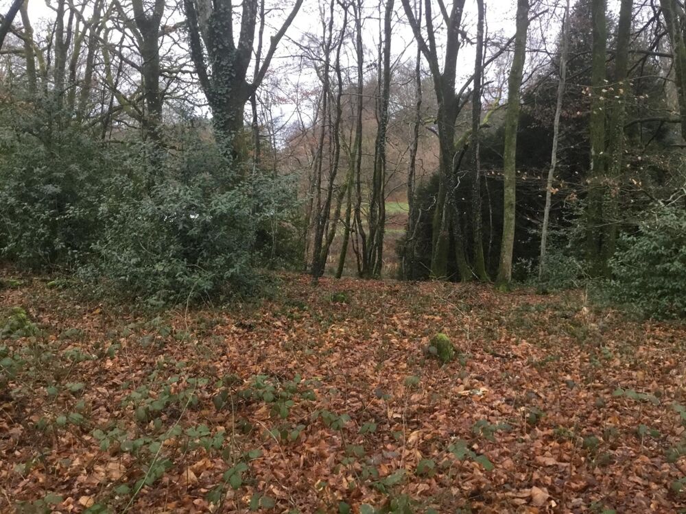 Vente Terrain Terrain constructible Bonnac la cote Bonnac-la-cote