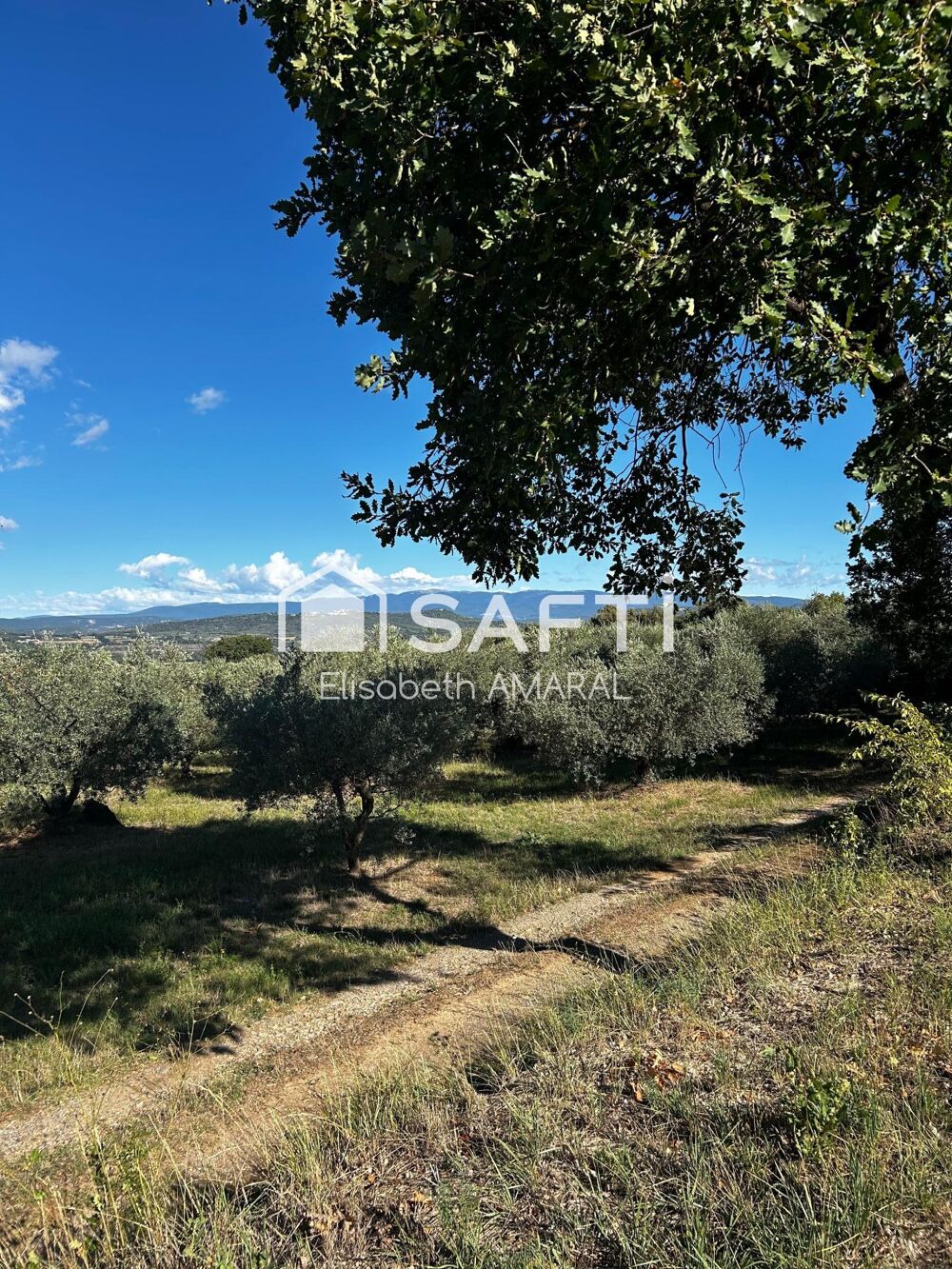 Vente Terrain À Oraison, laissez-vous séduire par cette oliveraie et sa magnifique vue sur la vallée de la Durance Oraison