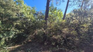 Vente Terrain Terrain Boisé 7200 m² Le cannet-des-maures
