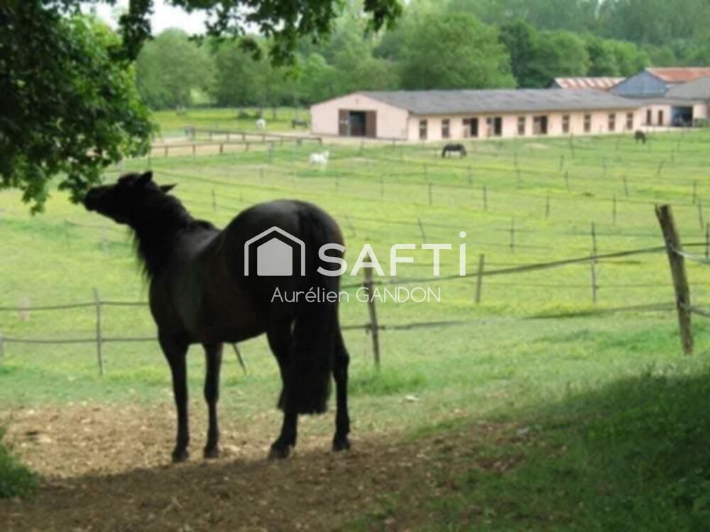 Vente Maison Maison avec 25HA de terrain et 40 box à chevaux Saint-denis-sur-ouanne