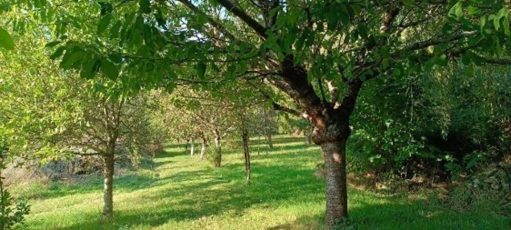 Longère dans la nature.