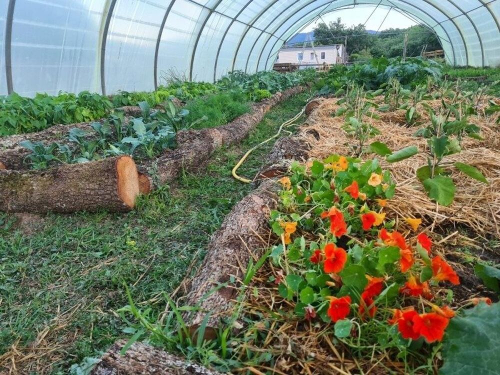 Vente Terrain Propriété agricole de 2 hectares avec fromagerie & guinguette festive Saint-martin-de-castillon