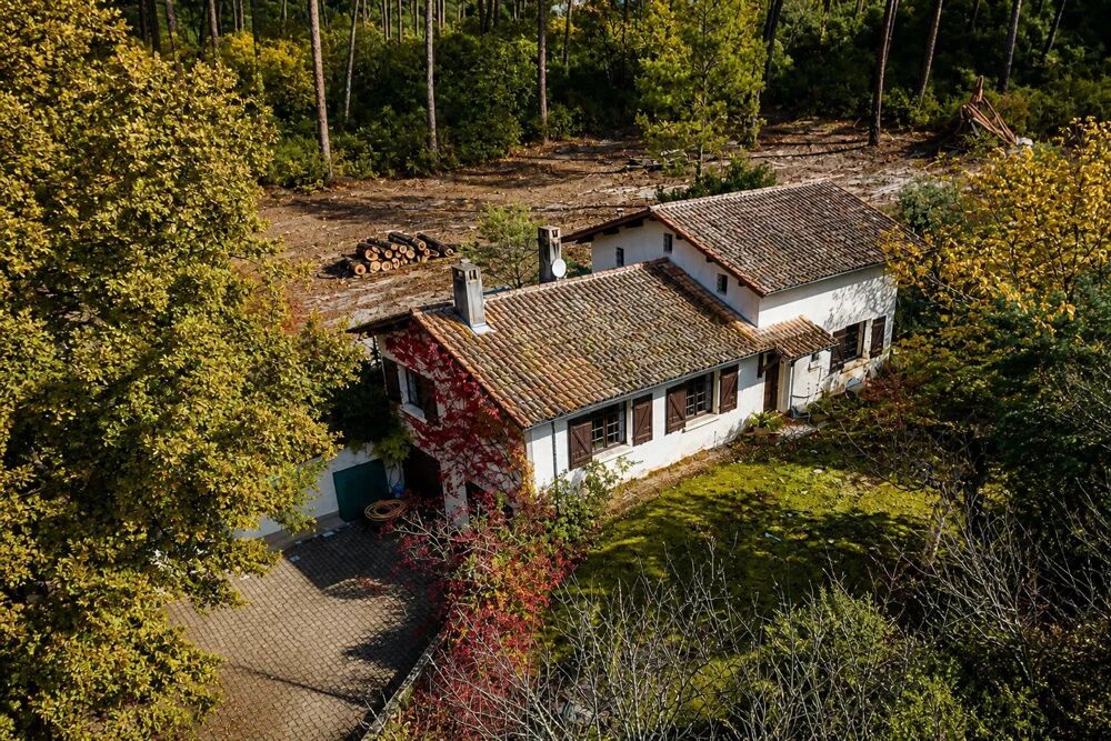 Vente Maison maison landaise au beau potentiel Lege-cap-ferret
