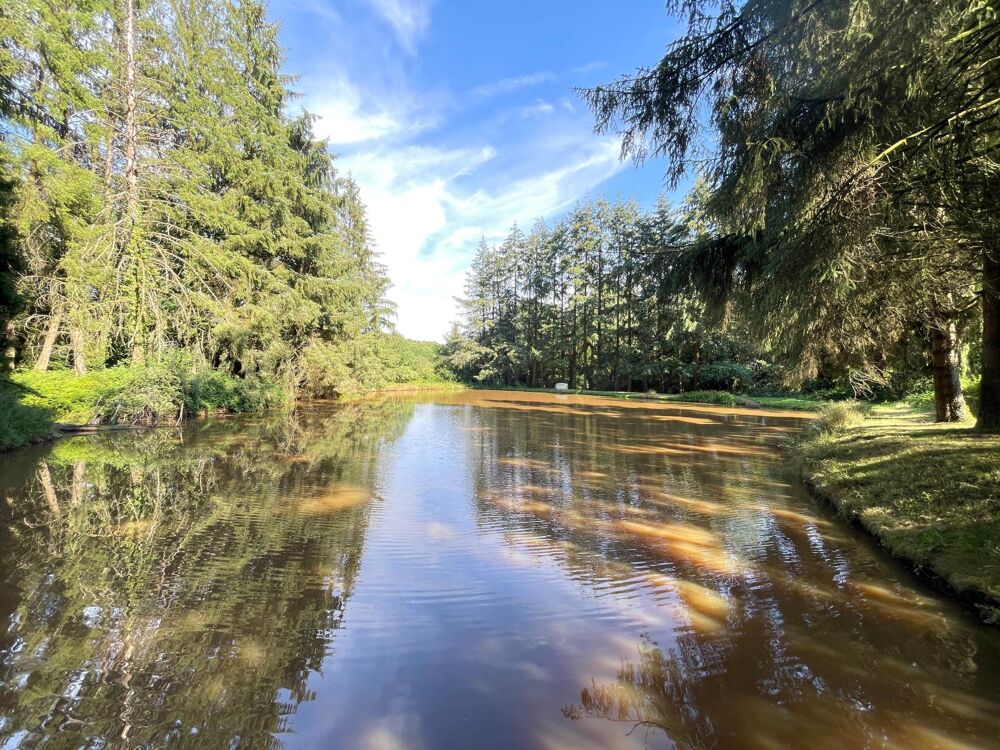 Vente Terrain En campagne Loupfougeres