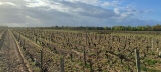  Terrain � vendre 32000 m�
