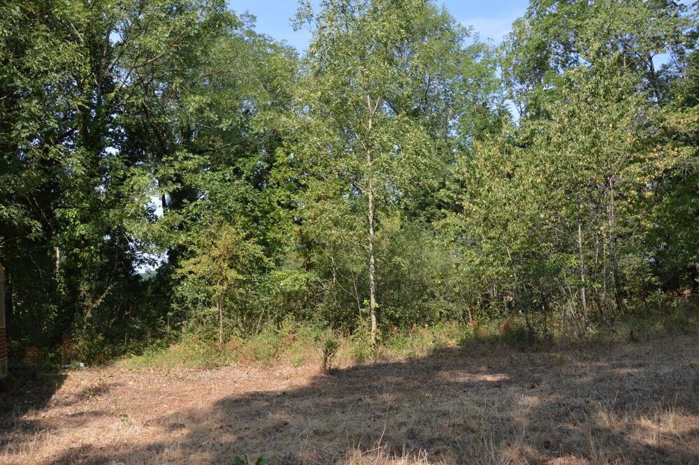 Vente Terrain Recréer votre propre coin de paradis, en toute simplicité Paulinet