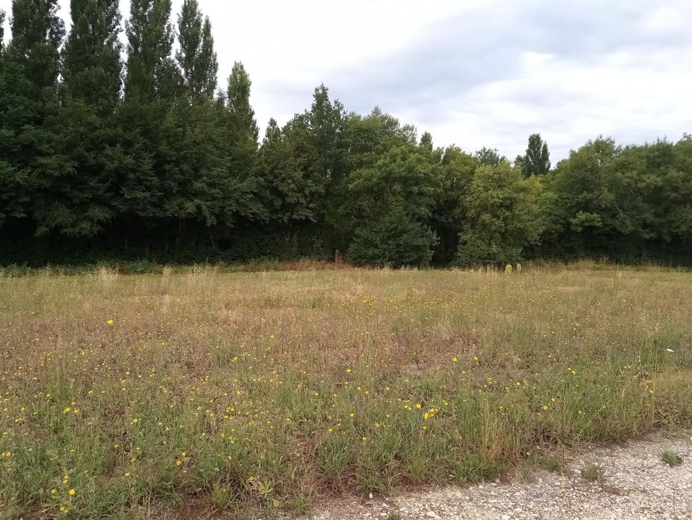 Vente Terrain magnifique terrain constructible Montpellier-de-medillan