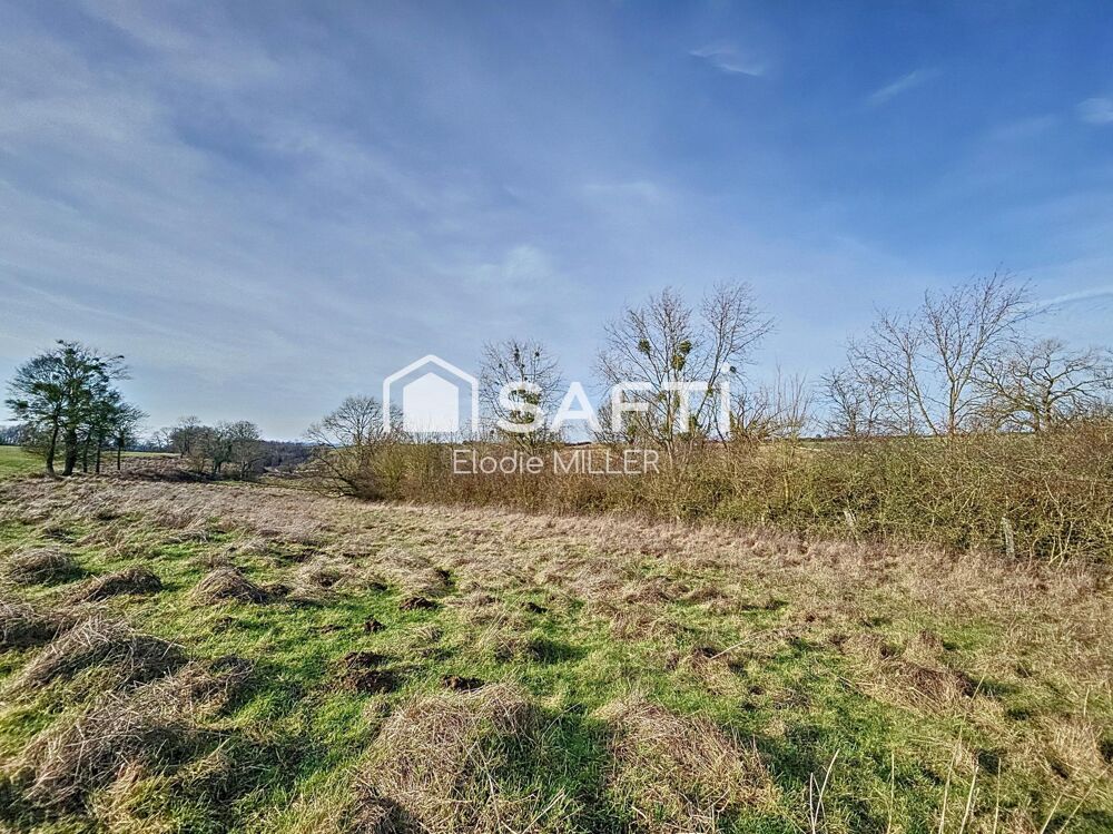 Vente Terrain Terrain agricole 7 325m² Pulligny
