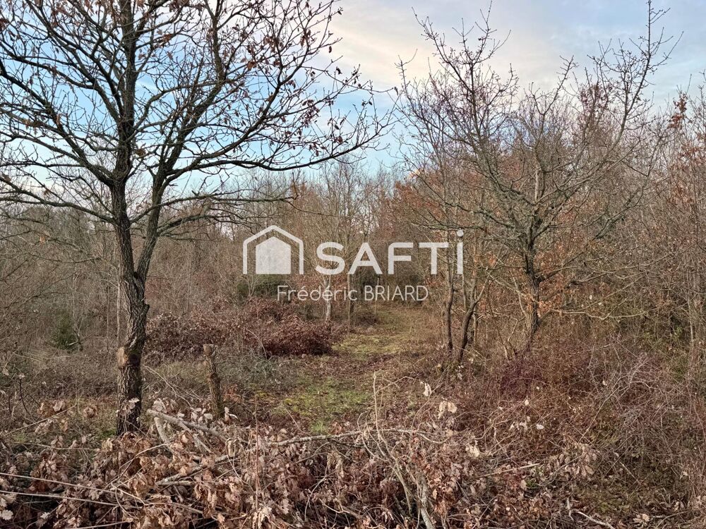 Vente Terrain L'Ile d'Olonne, terrain agricole 2574m2. L' ile-d'olonne