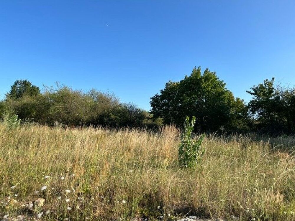 Vente Terrain CERNAY – Terrain viabilisé de 559 m² dans un nouveau lotissement Cernay