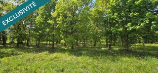  Terrain à vendre 4930 m²