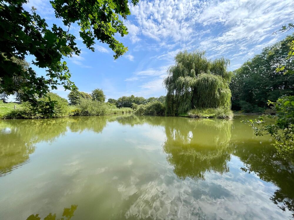 Vente Maison En campagne Chatillon-sur-colmont